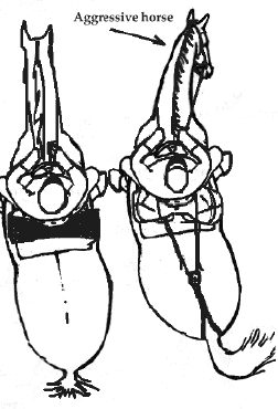 drillco.gif (38377 bytes)
