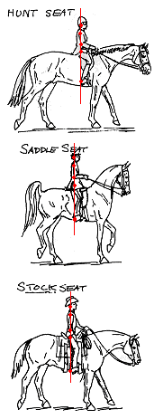 line1.gif (13754 bytes)