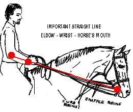 line2.gif (8623 bytes)