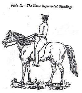 position3.jpg (24555 bytes)