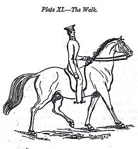 position4.jpg (23934 bytes)