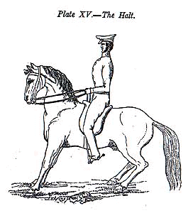 position6.jpg (21345 bytes)