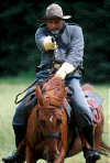 randy1.gif (35108 bytes)